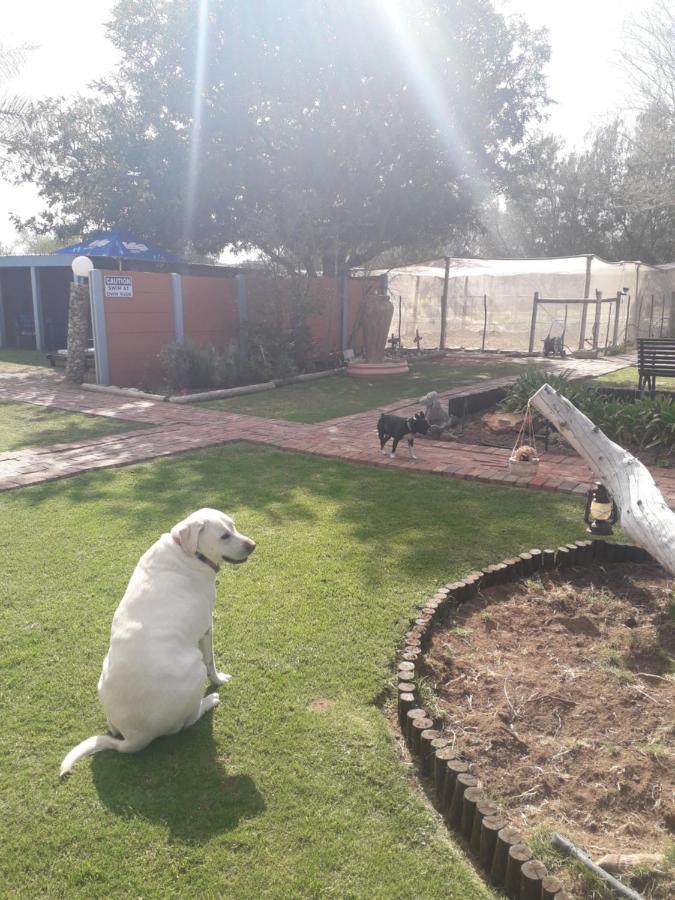 Culdesac Guesthouse Oudtshoorn Kültér fotó